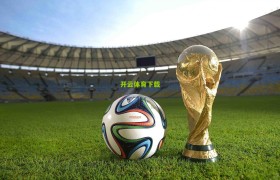 开云_24年种一个梦,从卡特效应到加拿大篮球的黄金年代